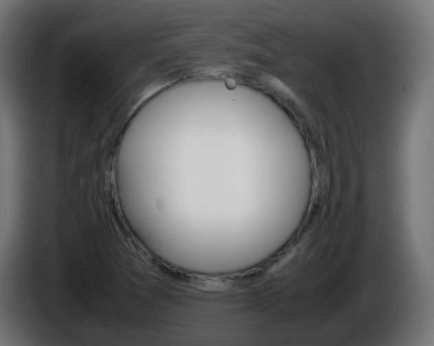 X0000086111361200704132200