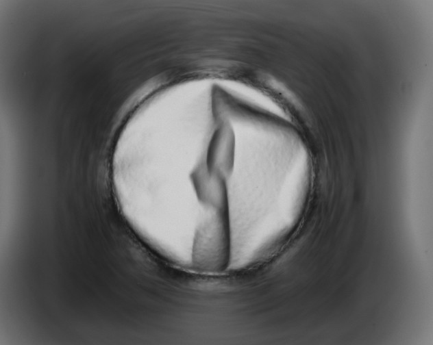 X0000086111362200704132200