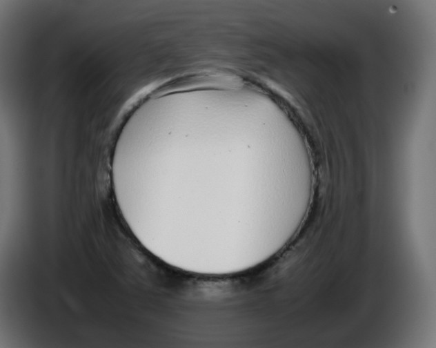 X0000086111363200704132200