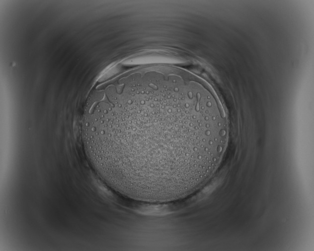 X0000086111369200704132200