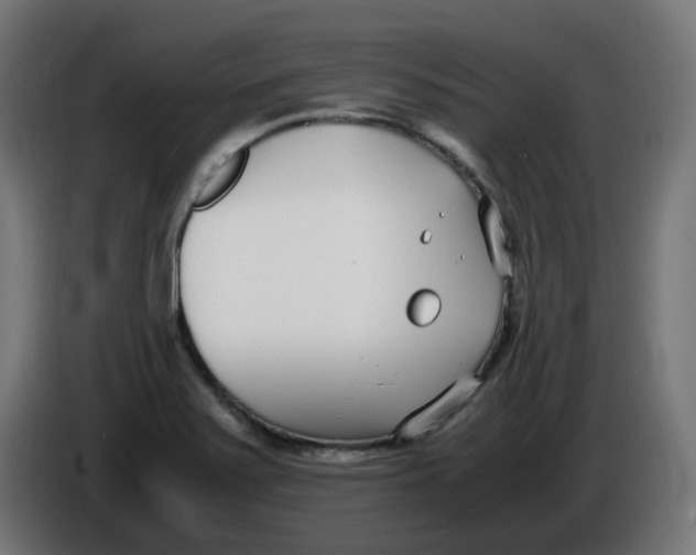 X0000086111371200704132200