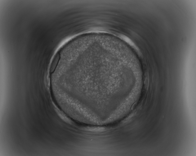 X0000086111372200704132200