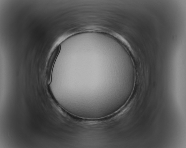 X0000086111373200704132200