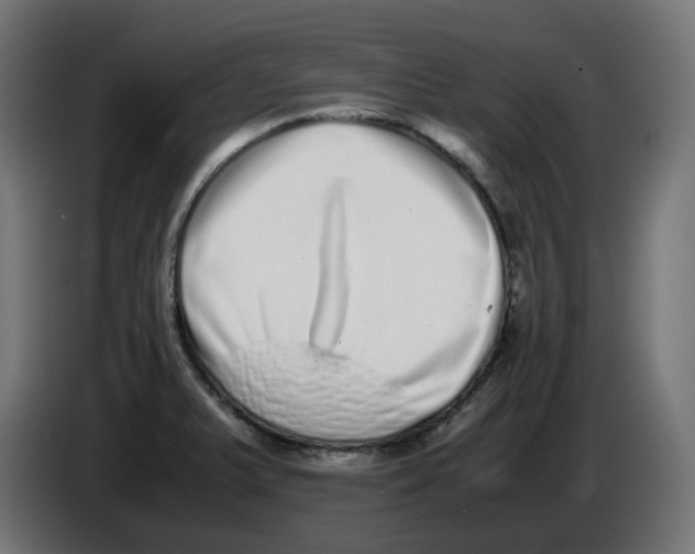 X0000086111375200704132200