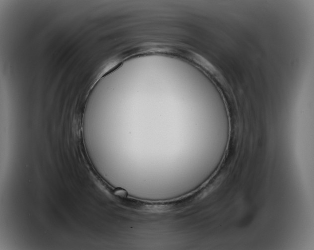 X0000086111377200704132200