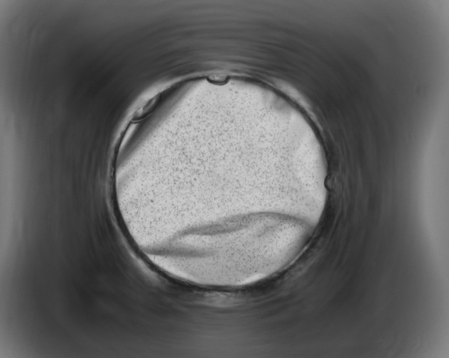 X0000086111379200704132200