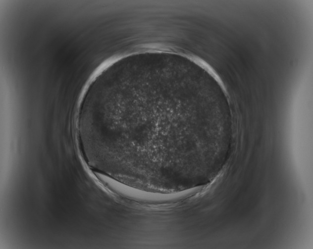 X0000086111381200704132200