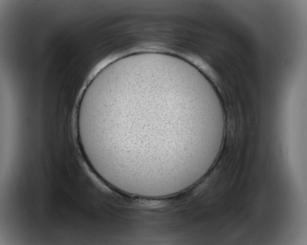 X0000086111382200704132200