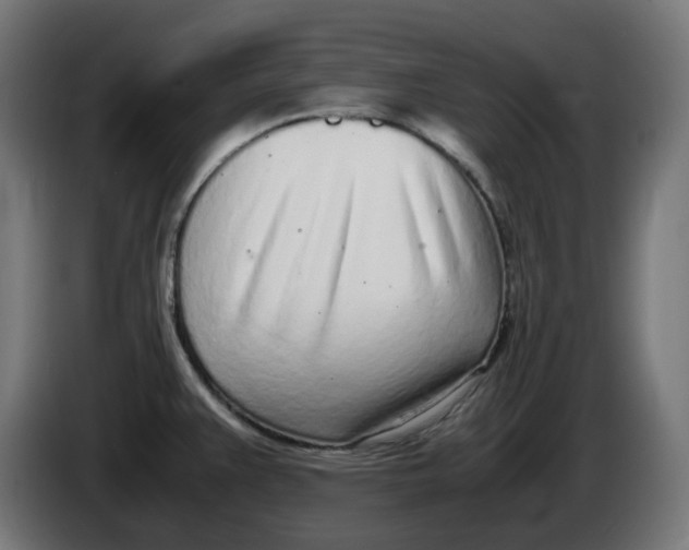 X0000086111383200704132200