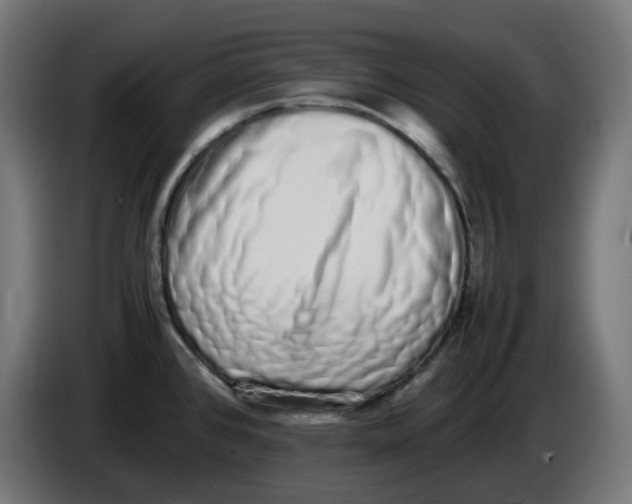 X0000086111384200704132200