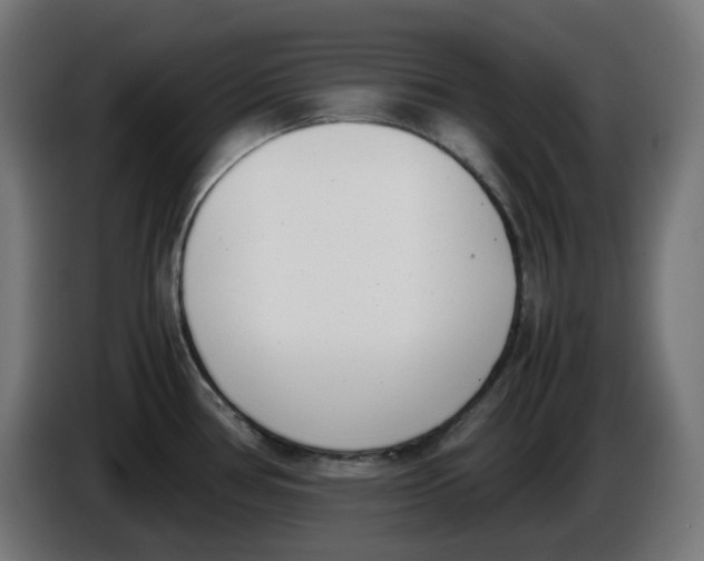 X0000086111386200704132200