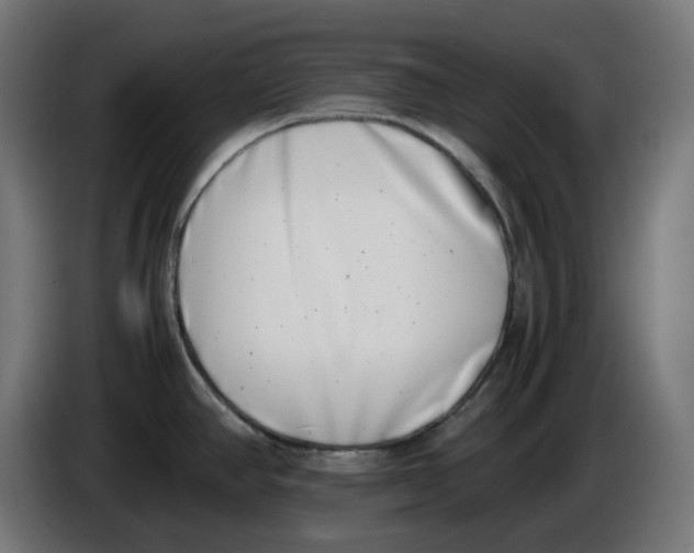 X0000086111390200704132159