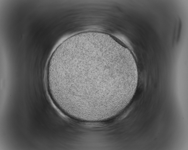 X0000086111391200704132159