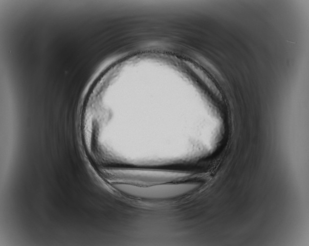 X0000086111392200704132159