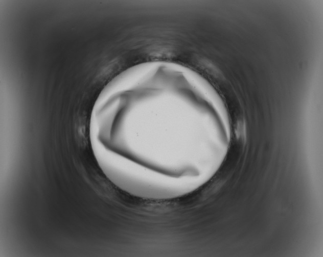 X0000086111396200704132159