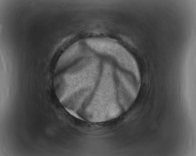 X0000086111398200704132159