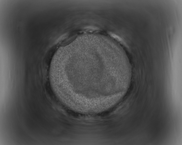 X0000086111399200704132159