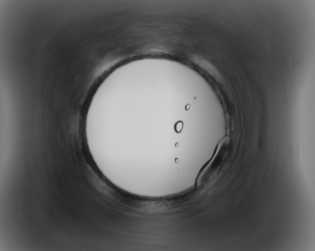 X0000086111404200704132159