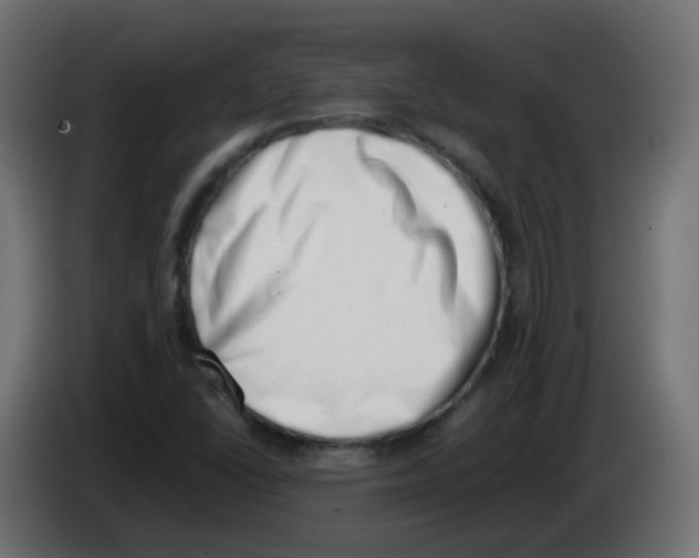 X0000086111406200704132159