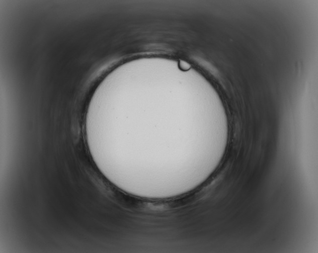 X0000086111407200704132159