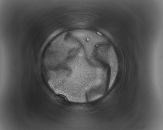 X0000086111410200704132159