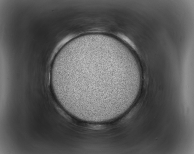 X0000086111413200704132159