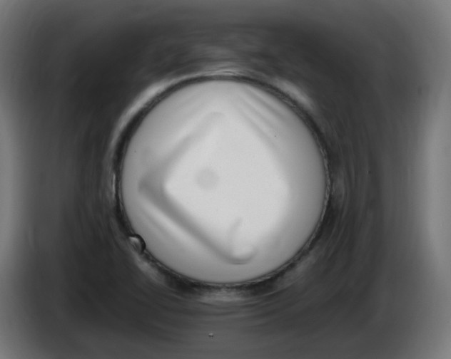 X0000086111414200704132159