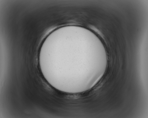 X0000086111415200704132159