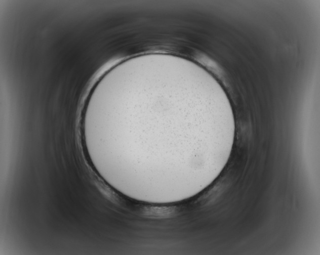 X0000086111427200704132159