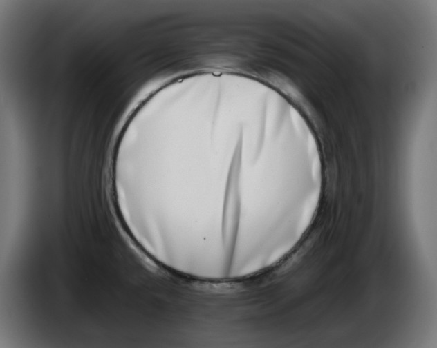 X0000086111432200704132159