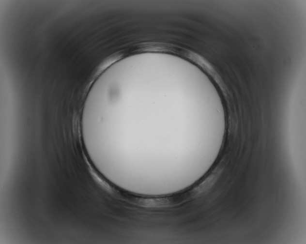 X0000086111433200704132159