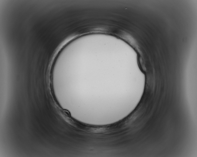 X0000086111435200704132159