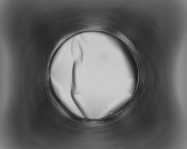 X0000086111436200704132159