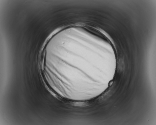 X0000086111437200704132159