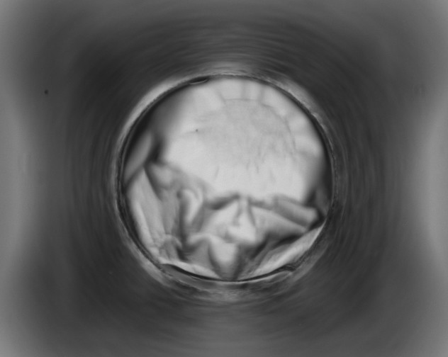 X0000086111438200704132159