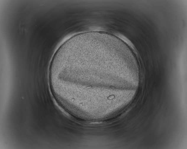 X0000086111439200704132159