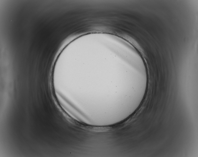 X0000086111440200704132159