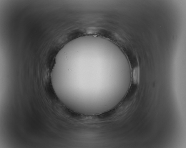 X0000086111443200704132159