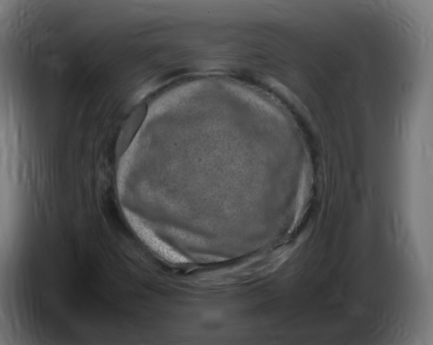 X0000086111449200704132159