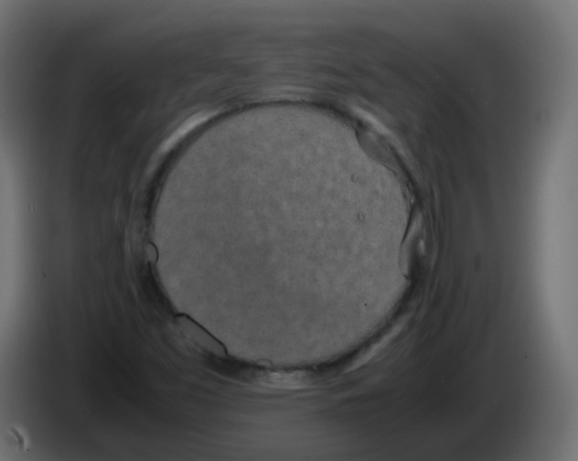 X0000086111453200704132159