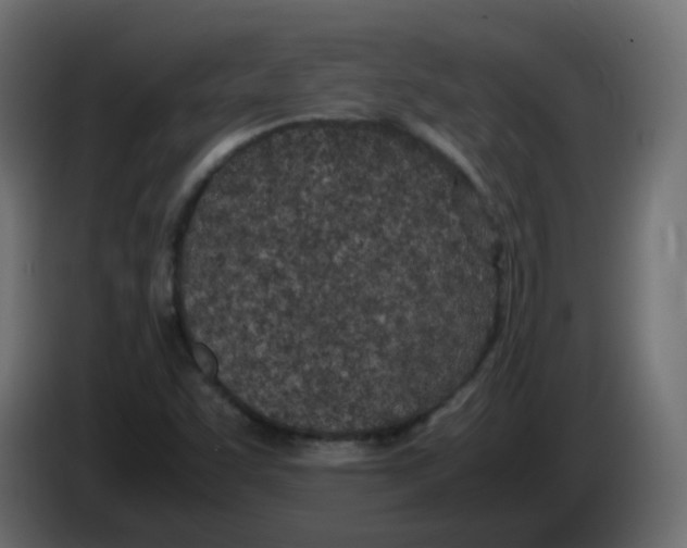 X0000086111455200704132159