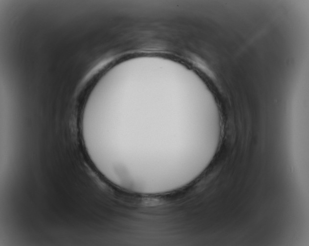 X0000086111456200704132159