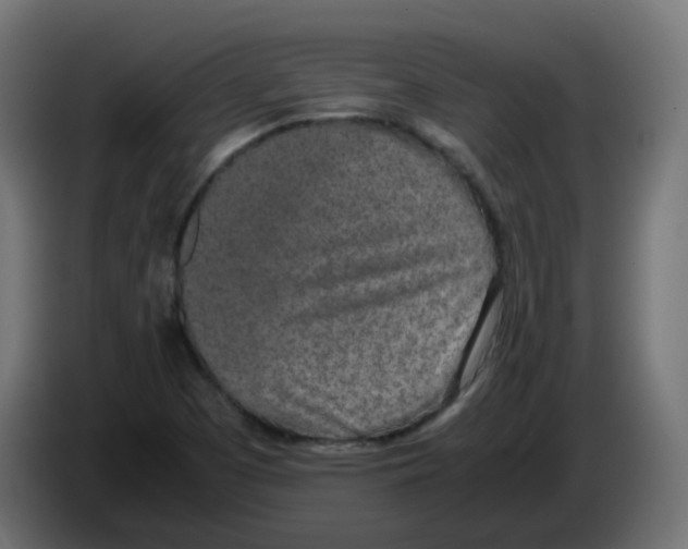 X0000086111457200704132159