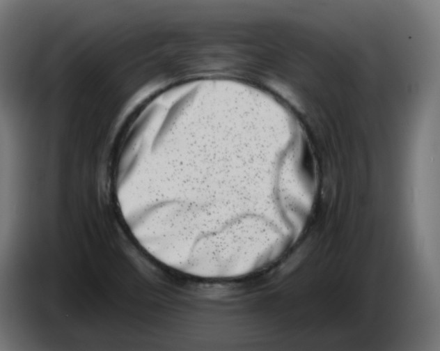 X0000086111458200704132158