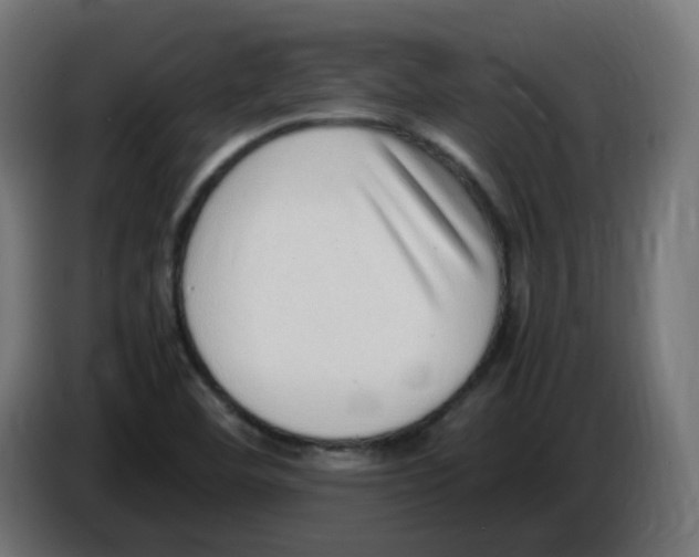 X0000086111460200704132158