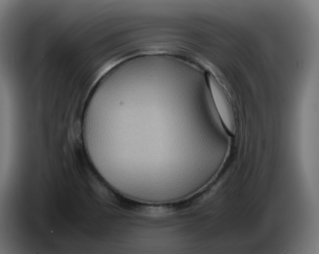 X0000086111465200704132158