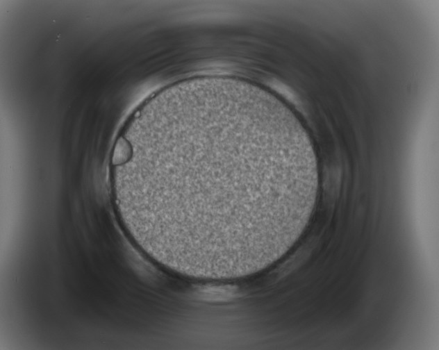 X0000086111466200704132158