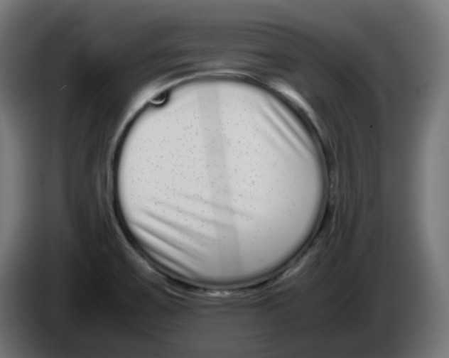 X0000086111467200704132158