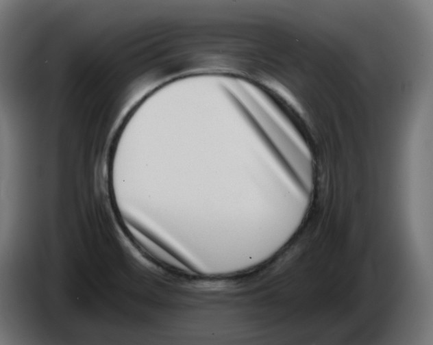 X0000086111468200704132158