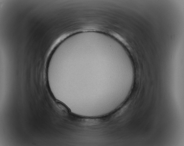 X0000086111469200704132158